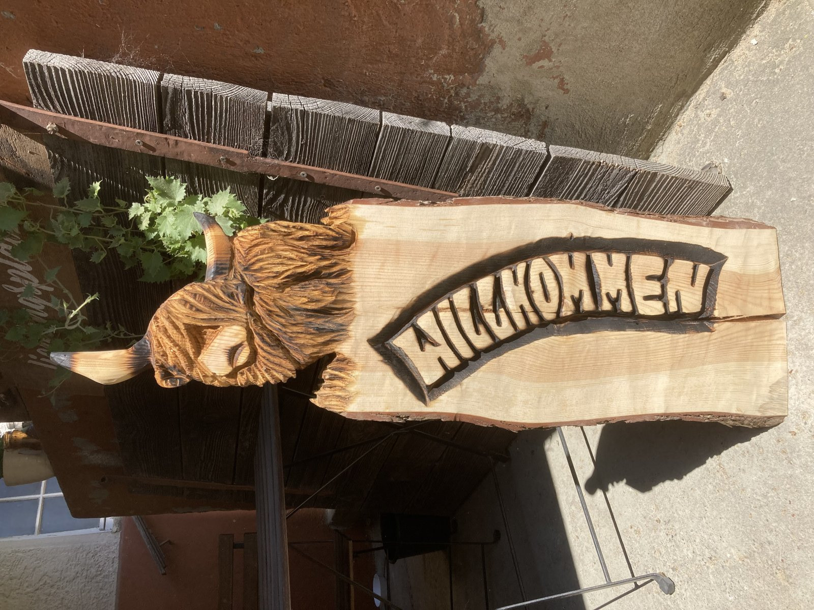 Cattle Highland Willkommen