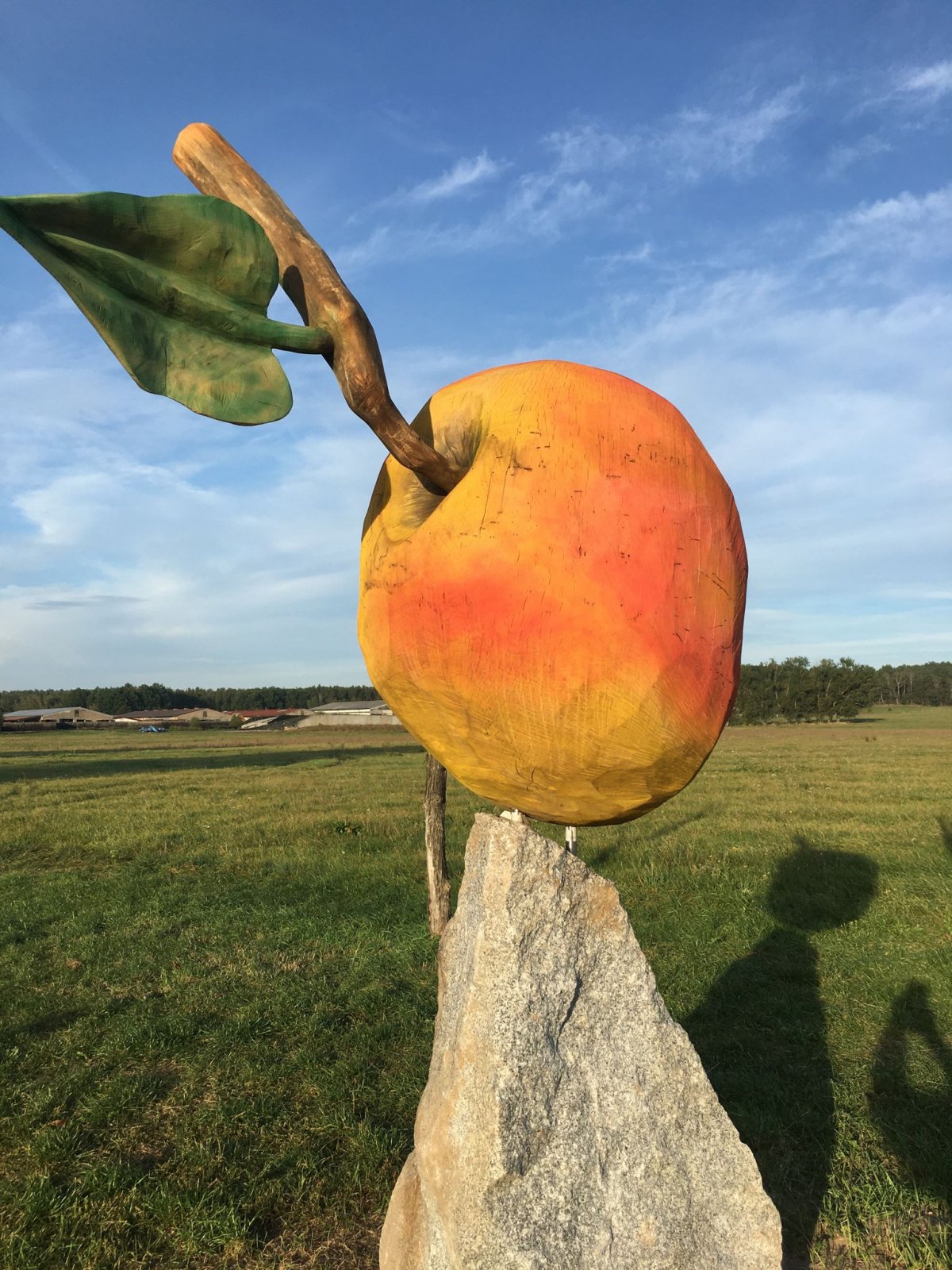 Apfel