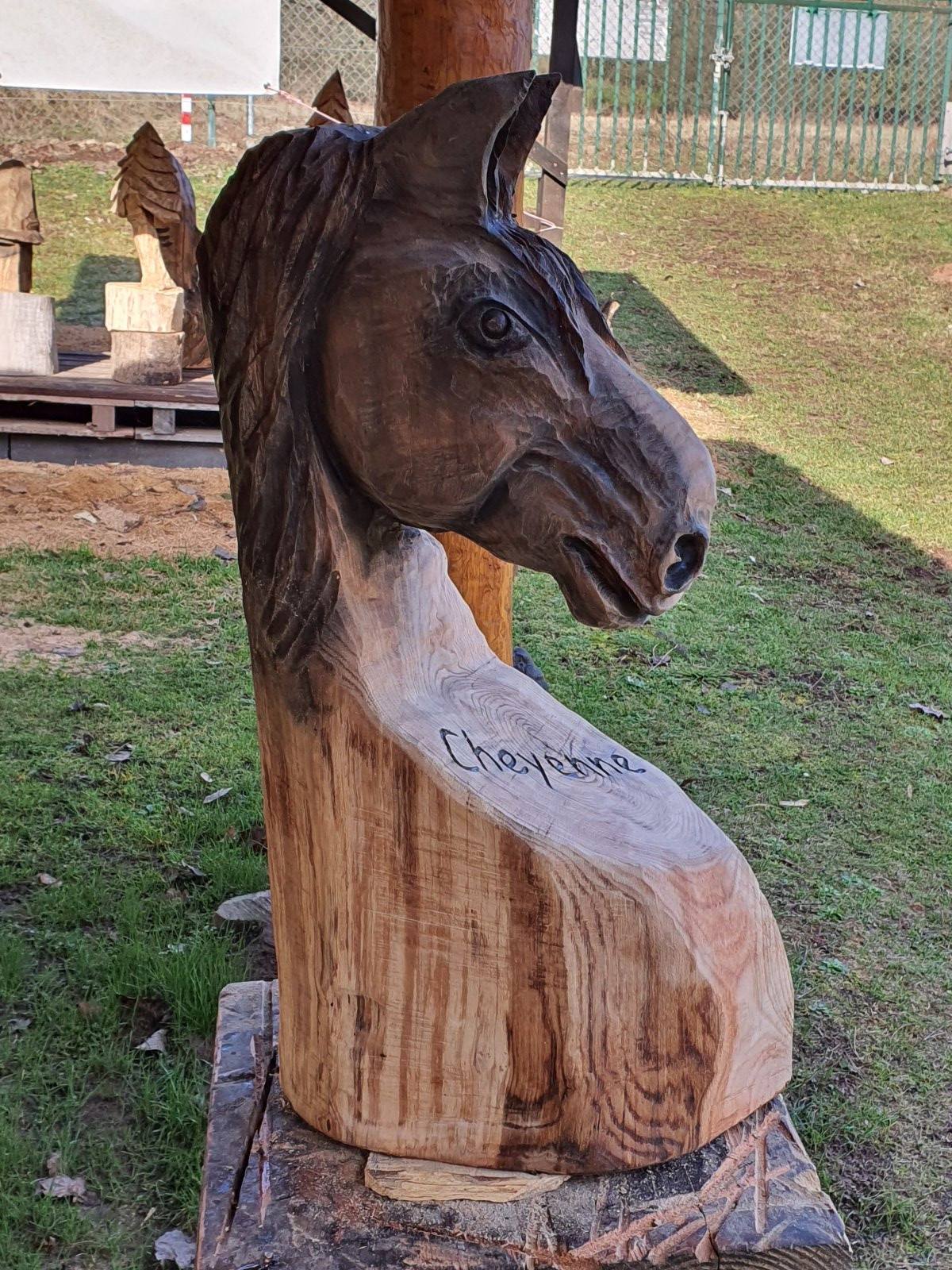Pferd