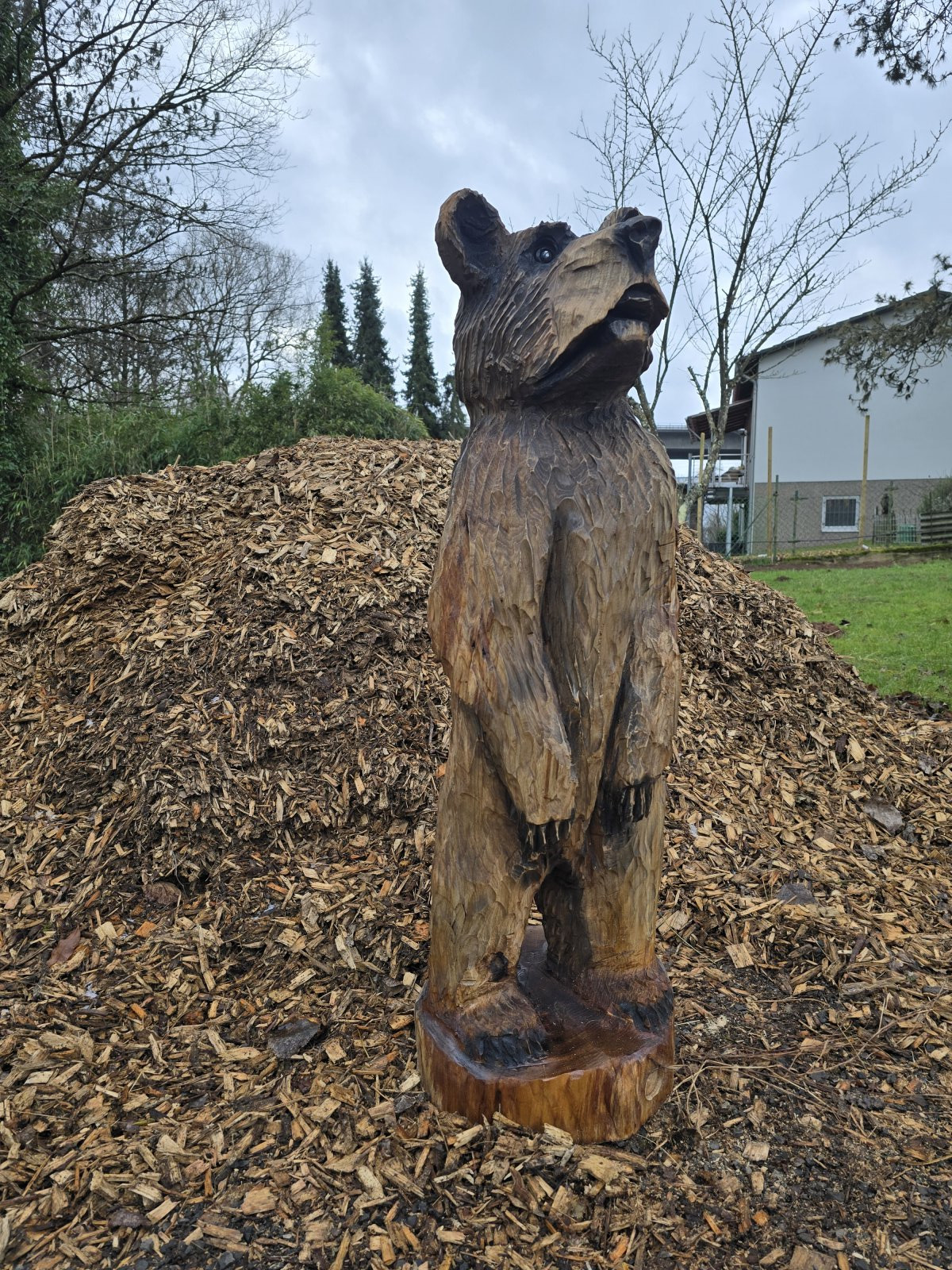 Bär