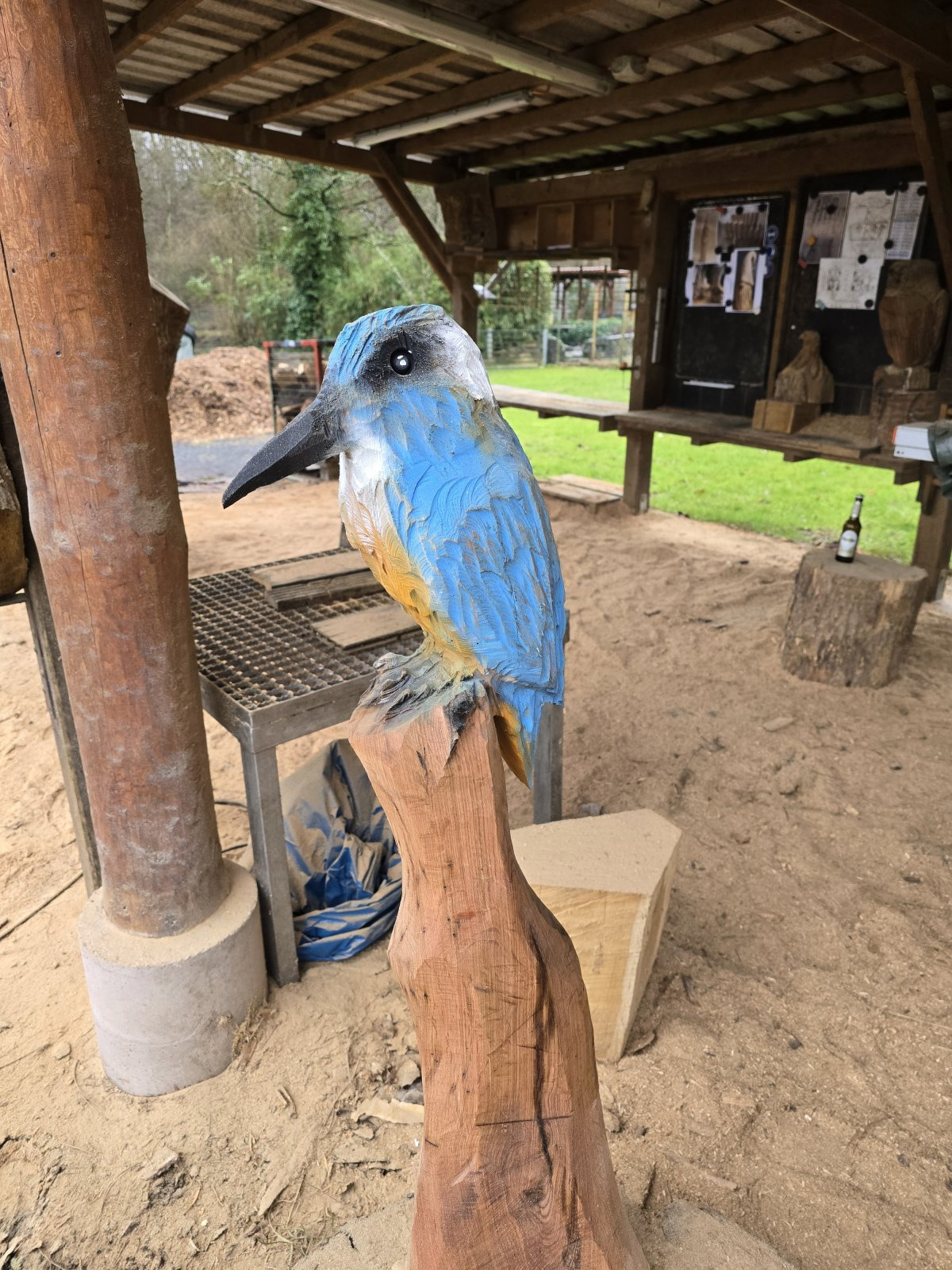 Eisvogel